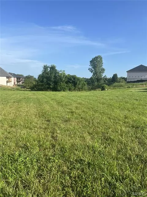 1393 Warren Lake Dr, Jackson, MO 63755 photo 4