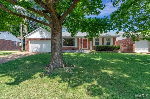 3905 Louis St, Saint Louis, MO 63116 photo 30