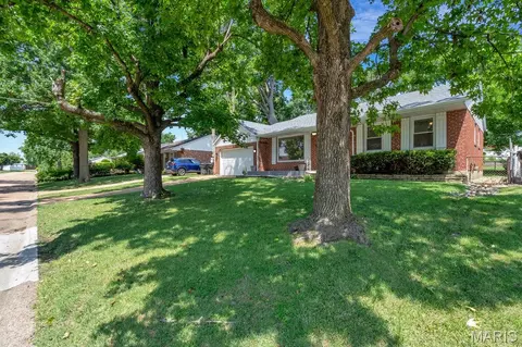 3905 Louis St, Saint Louis, MO 63116 photo 32