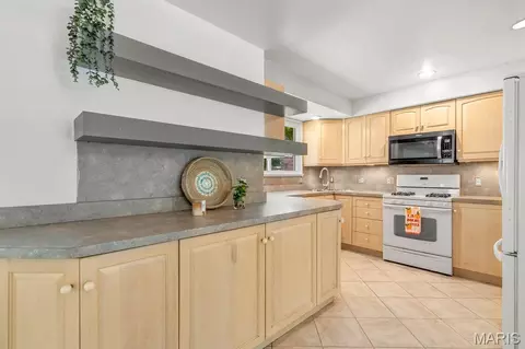 3905 Louis St, Saint Louis, MO 63116 photo 9