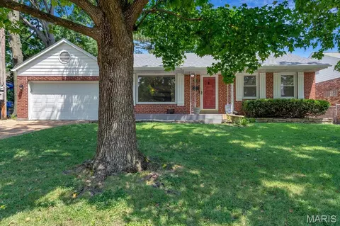 3905 Louis St, Saint Louis, MO 63116 photo 2