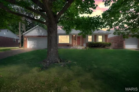 3905 Louis St, Saint Louis, MO 63116 photo 31