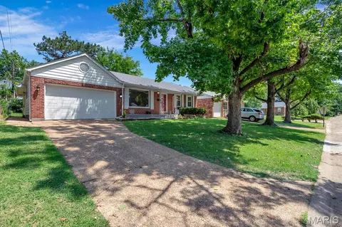 3905 Louis St, Saint Louis, MO 63116 photo 1