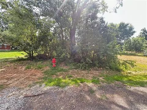 tbd Walker Ave, Licking, MO 65542 photo 25
