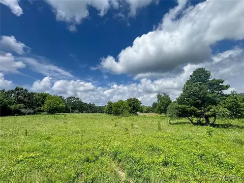tbd Walker Ave, Licking, MO 65542 photo 29