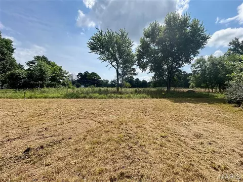 tbd Walker Ave, Licking, MO 65542 photo 24