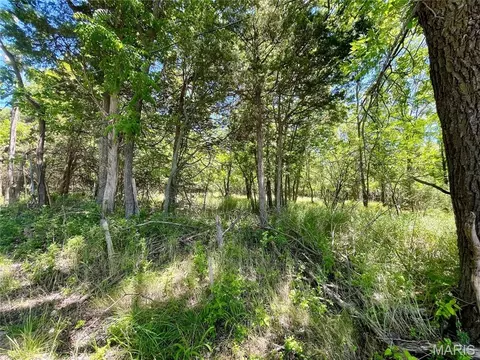 2558 Frederitzi Ln, Arnold, MO 63010 photo 9