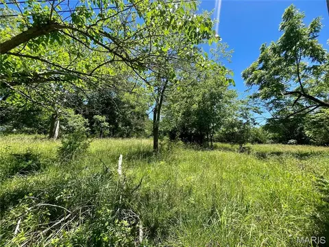 2558 Frederitzi Ln, Arnold, MO 63010 photo 5