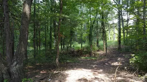 10021 Bugle Rd, Cadet, MO 63630 photo 22
