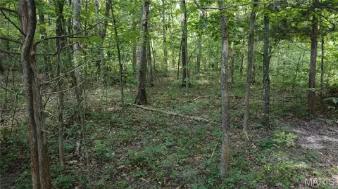 10021 Bugle Rd, Cadet, MO 63630 photo 24