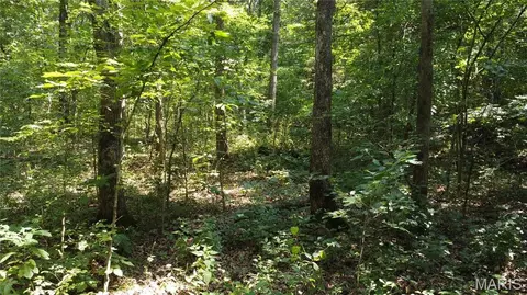 10021 Bugle Rd, Cadet, MO 63630 photo 39