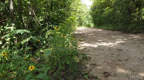 10021 Bugle Rd, Cadet, MO 63630 photo 37