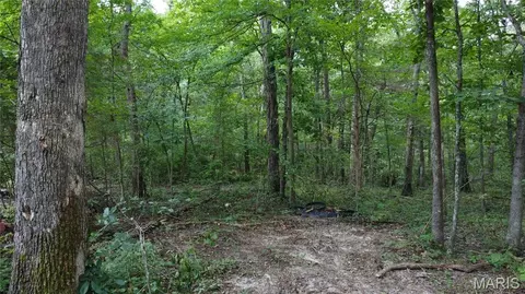 10021 Bugle Rd, Cadet, MO 63630 photo 23