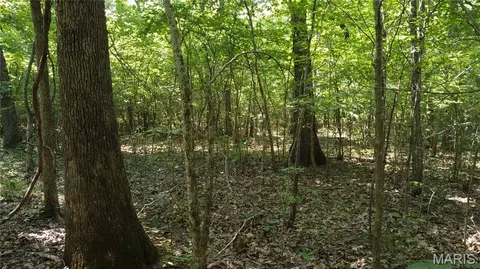 10021 Bugle Rd, Cadet, MO 63630 photo 43