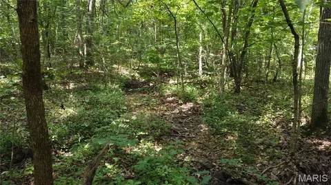 10021 Bugle Rd, Cadet, MO 63630 photo 29