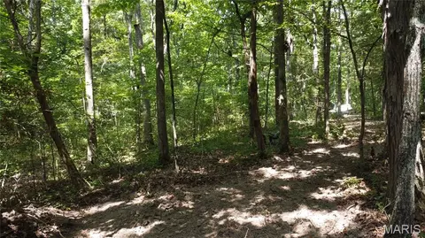 10021 Bugle Rd, Cadet, MO 63630 photo 27
