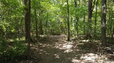 10021 Bugle Rd, Cadet, MO 63630 photo 26