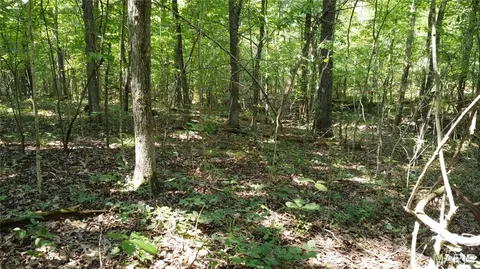 10021 Bugle Rd, Cadet, MO 63630 photo 41