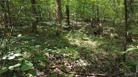 10021 Bugle Rd, Cadet, MO 63630 photo 30