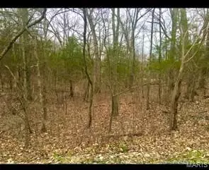 3076 Jackson Dr, Hillsboro, MO 63050