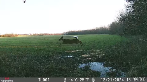 Other - 0 Bales Rd, Middletown, MO 63359 photo 6 of 15