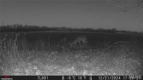 Other - 0 Bales Rd, Middletown, MO 63359 photo 8 of 15