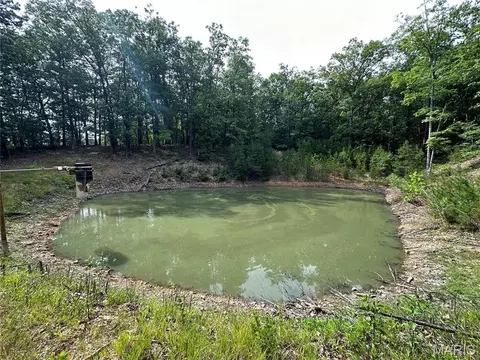 10152 Spool Ln, Potosi, MO 63664