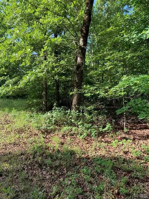 0 Highway 160w-13, Doniphan, MO 63935