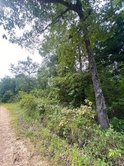 tbd County Road 355, Dora, MO 65637 photo 3