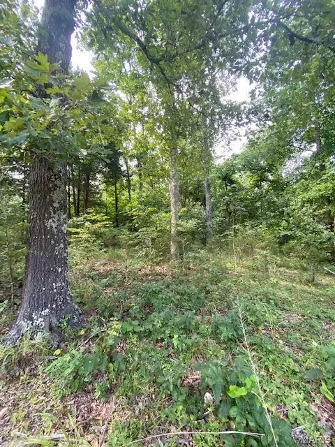 tbd County Road 355, Dora, MO 65637 photo 5