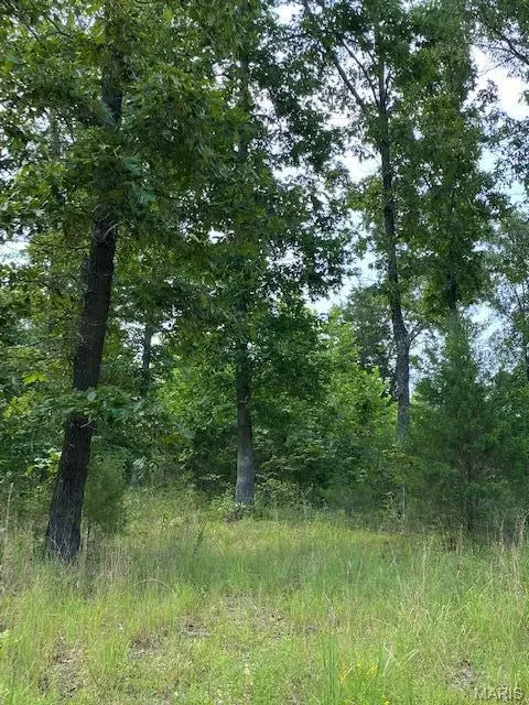 tbd County Road 355, Dora, MO 65637 photo 4