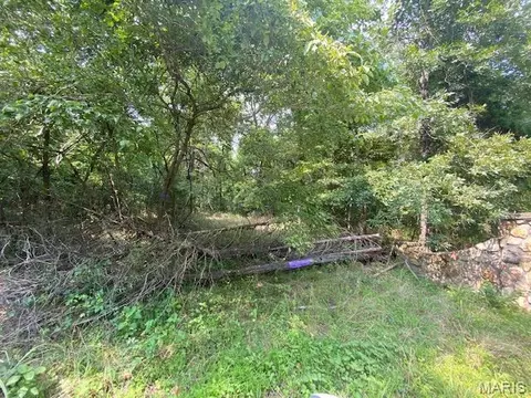 tbd County Road 355, Dora, MO 65637 photo 11