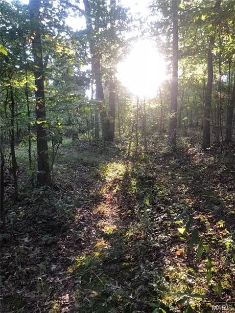 0 N Service Rd, Saint Clair, MO 63077