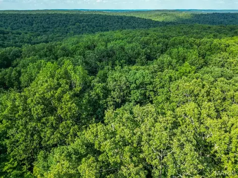 11500 Claxton Rd, Falcon, MO 65470 photo 11