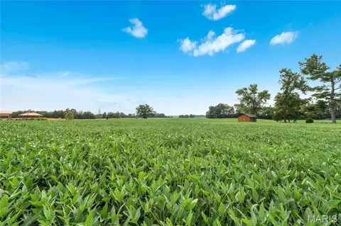 lot2 E Back St, Hecker, IL 62248
