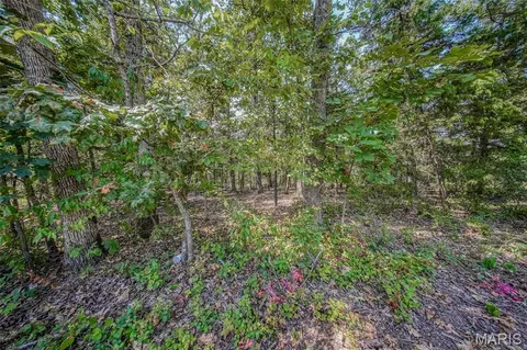 0 Faust Ct, Rolla, MO 65401 photo 4