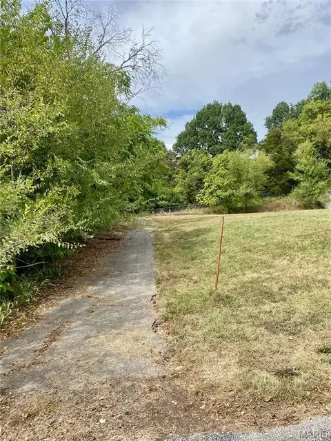0 E Park St, Pacific, MO 63069 photo 2