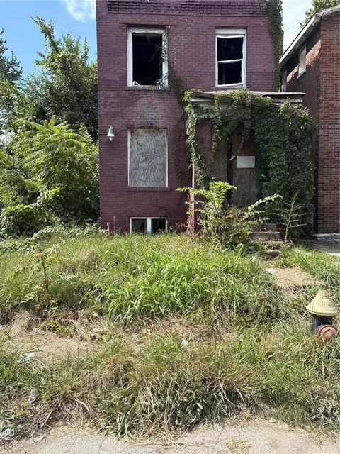 3119 N Sarah St, Saint Louis, MO 63115