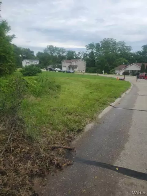 3905 Max Weich Pl, Florissant, MO 63033