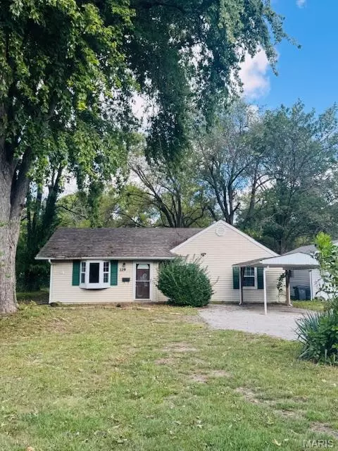 119 S 37th St, Belleville, IL 62226