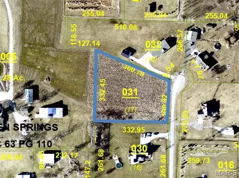 117 Spring Ct, Worden, IL 62097