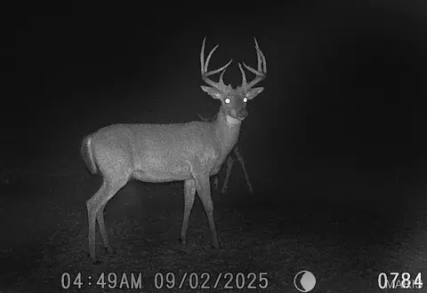 2160 State Route Y, Other, MO 65256