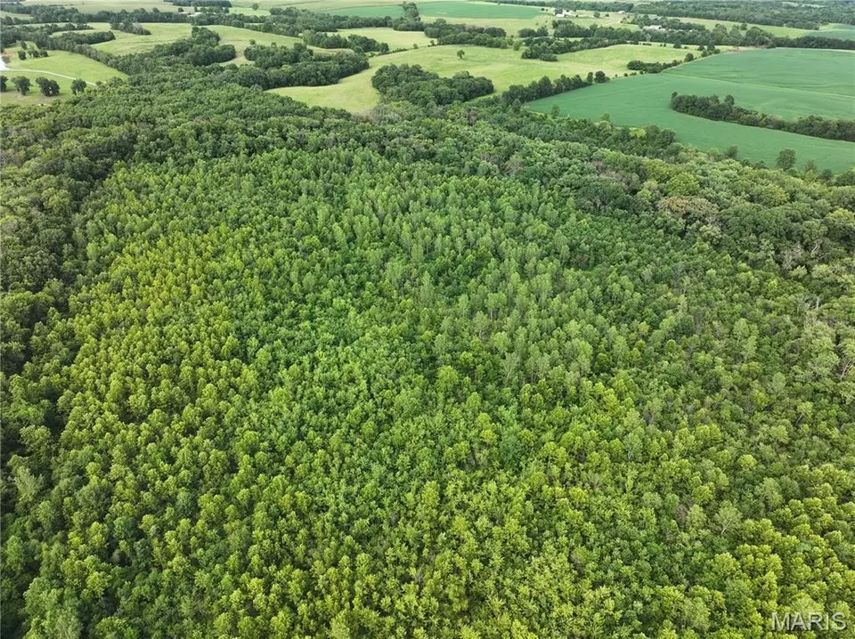 Other - Off Mcallister Rd, Marshall, MO 65333 photo 7 of 16