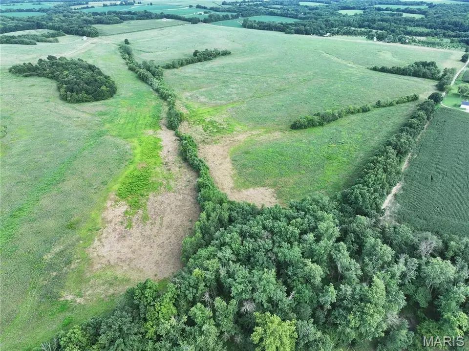 Other - Off Mcallister Rd, Marshall, MO 65333 photo 6 of 16