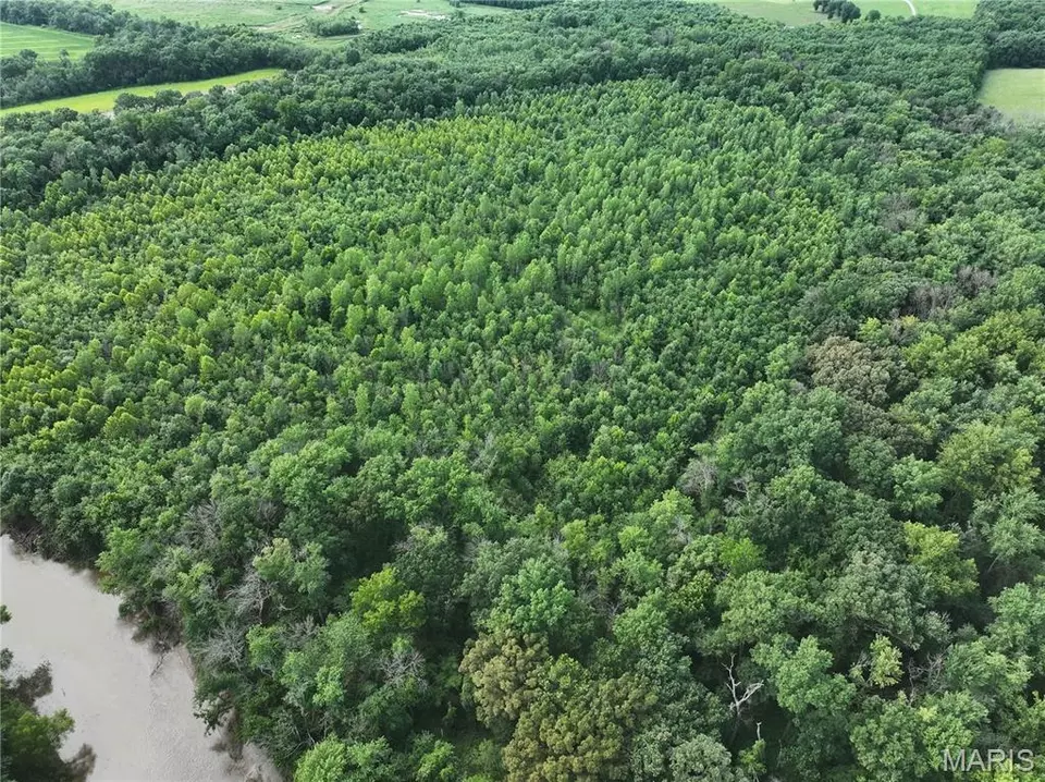 View/Area - Off Mcallister Rd, Marshall, MO 65333 photo 8 of 10