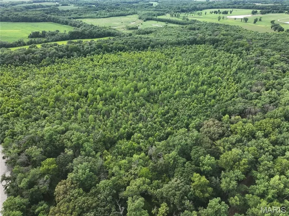 Other - Off Mcallister Rd, Marshall, MO 65333 photo 8 of 16