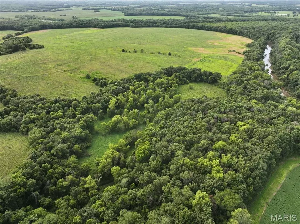 View/Area - Off Mcallister Rd, Marshall, MO 65333 photo 10 of 10