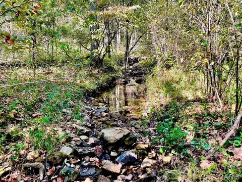 9641 Crane Dr, Bucyrus, MO 65444