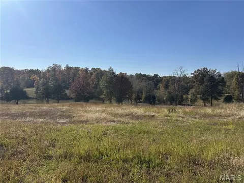 286 Old Wagon Trl, Jackson, MO 63755 photo 5