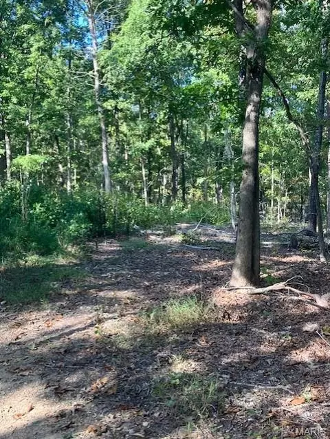 173 Madison Cr 410, Fredericktown, MO 63645